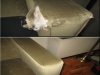 couch-protection